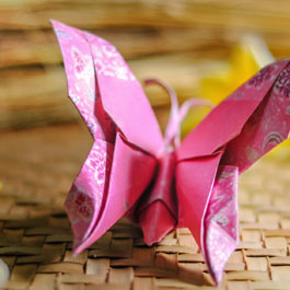 Photo for SMFL Calender 2013 - The Butterfly Origami